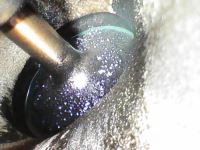 Photo_2025-11-15 15_31_10_158.JPG